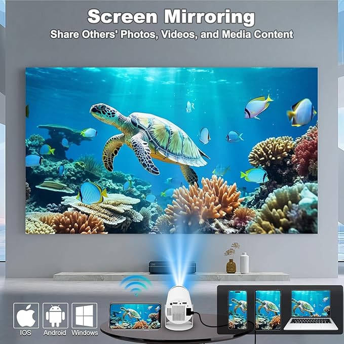 Projector