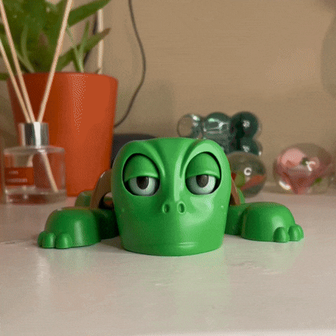 Turtle Coaster™