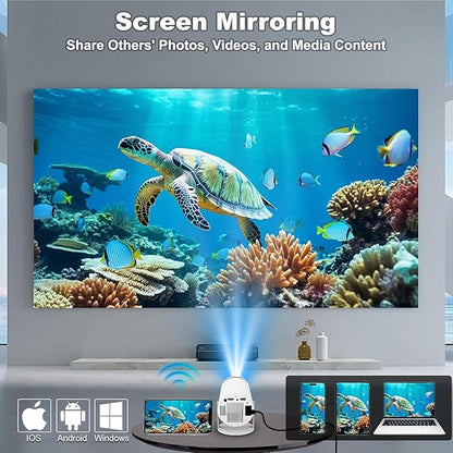 Projector